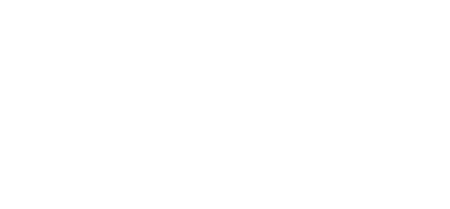 Orion Logo